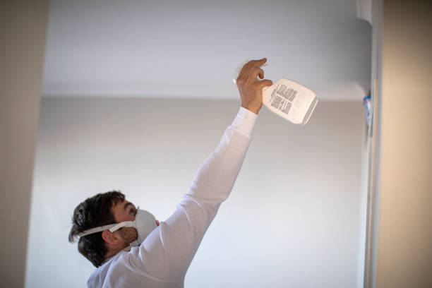Water Damage Restoration in Royal Oak, MI