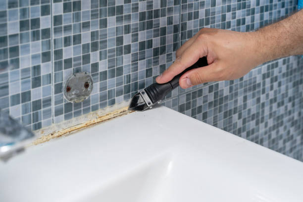 Best Commercial Mold Removal  in Royal Oak, MI